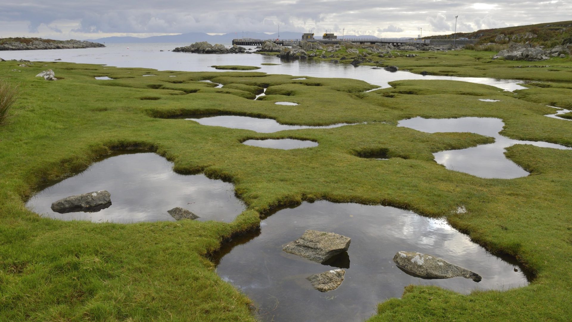 Saltmarsh pools at Scalasaig. The Isle of Colonsay. Credit: Lorne Gill / NatureScot