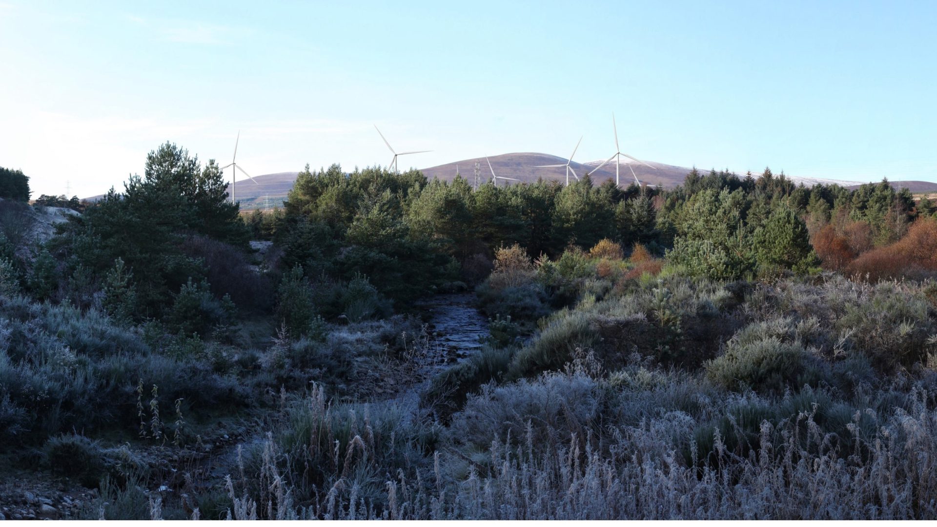 Artist impression of Strathrory wind farm