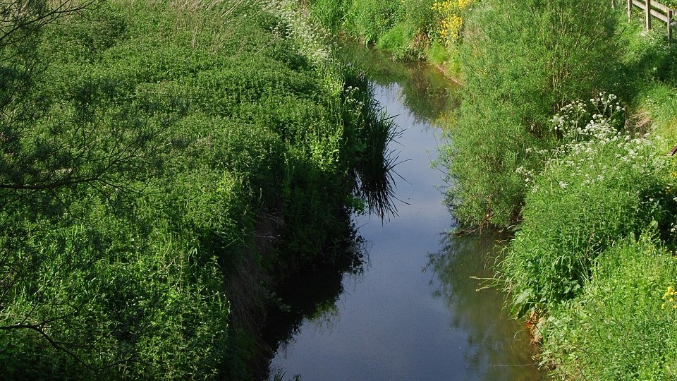 Billingham Beck Valley Country Park. Credit: Stockton-on-Tees Borough Council.