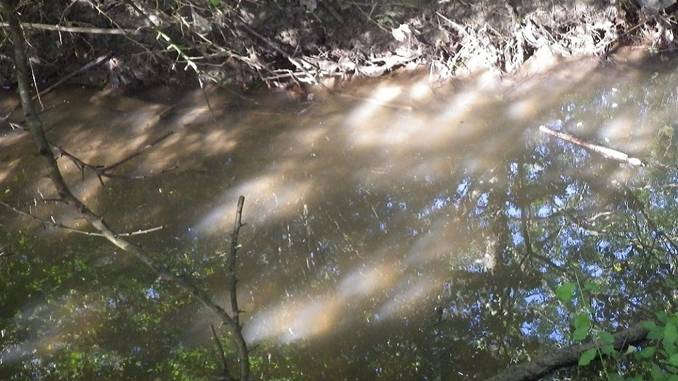 Pollution in Monkton Burn