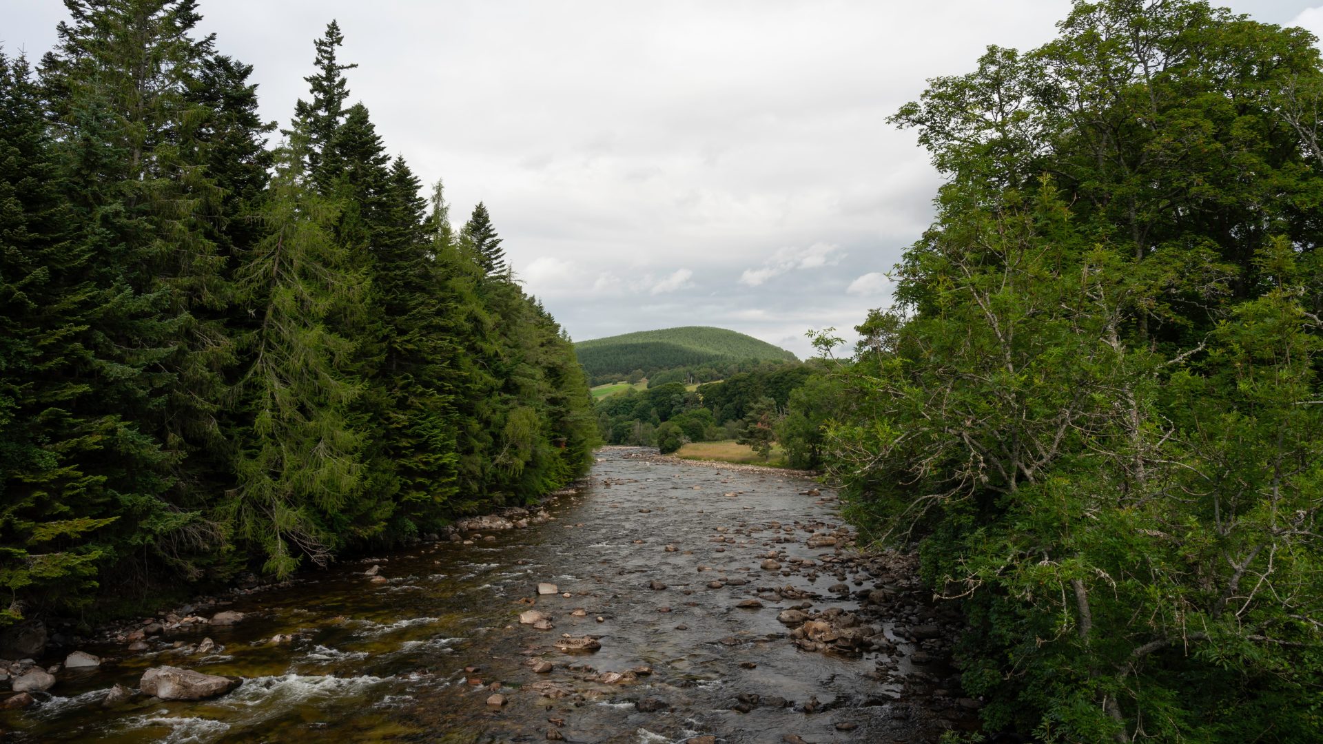 View of River Dee with surrounding forest on banks and hill in distance. Taken from Balmoral Bridge, Balmoral Estate, Scotland.