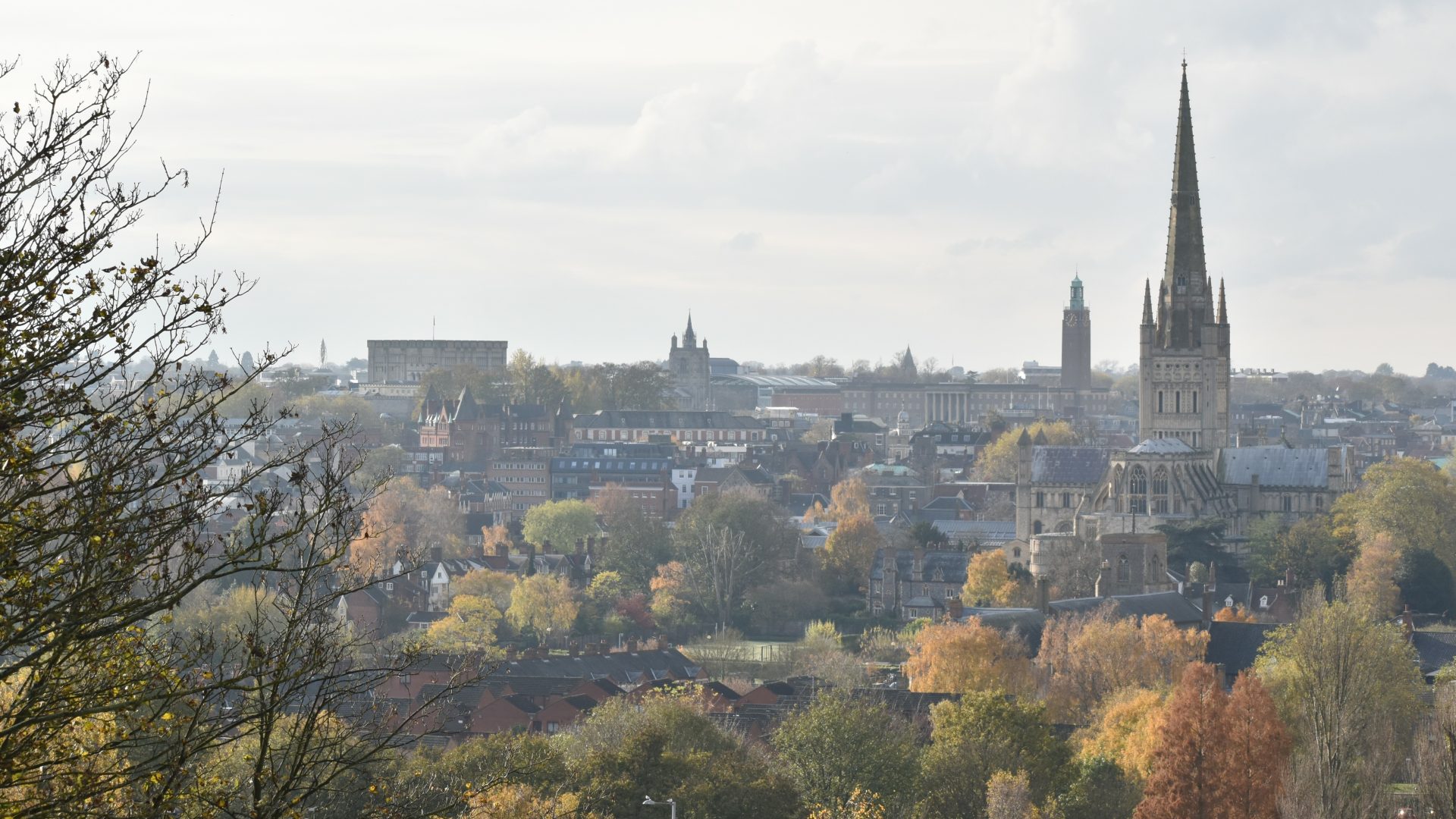 Views of Norwich, Norfolk, UK, from Mousehold Heath.