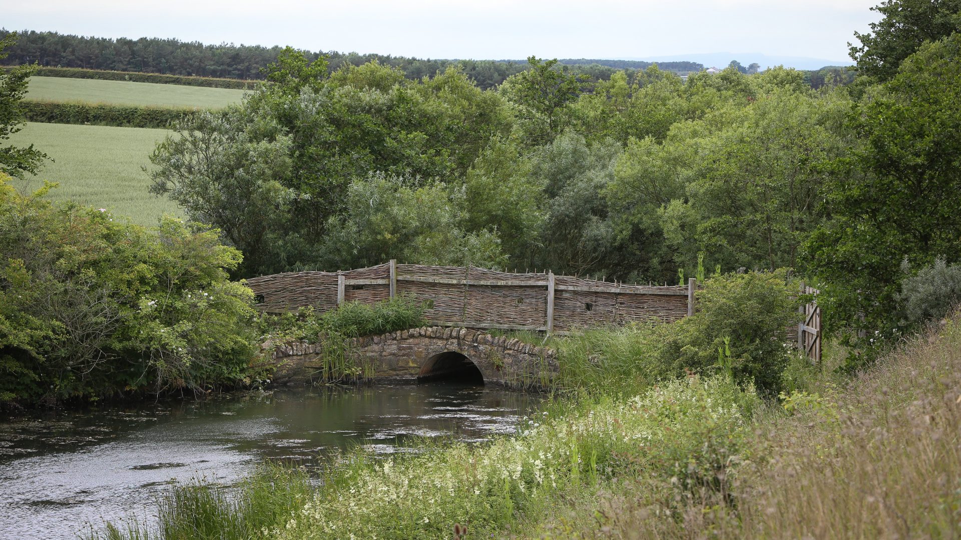 Hauxley Nature Reserve - credit Simon Greener