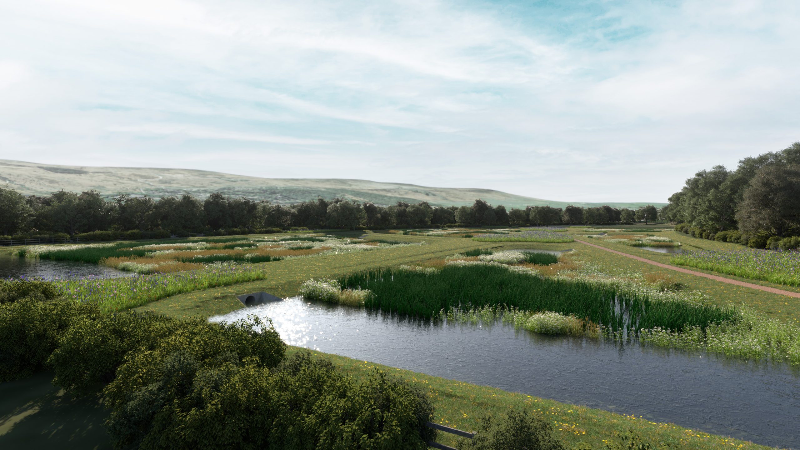 Artist impression of the new wetland in Ilkley 4