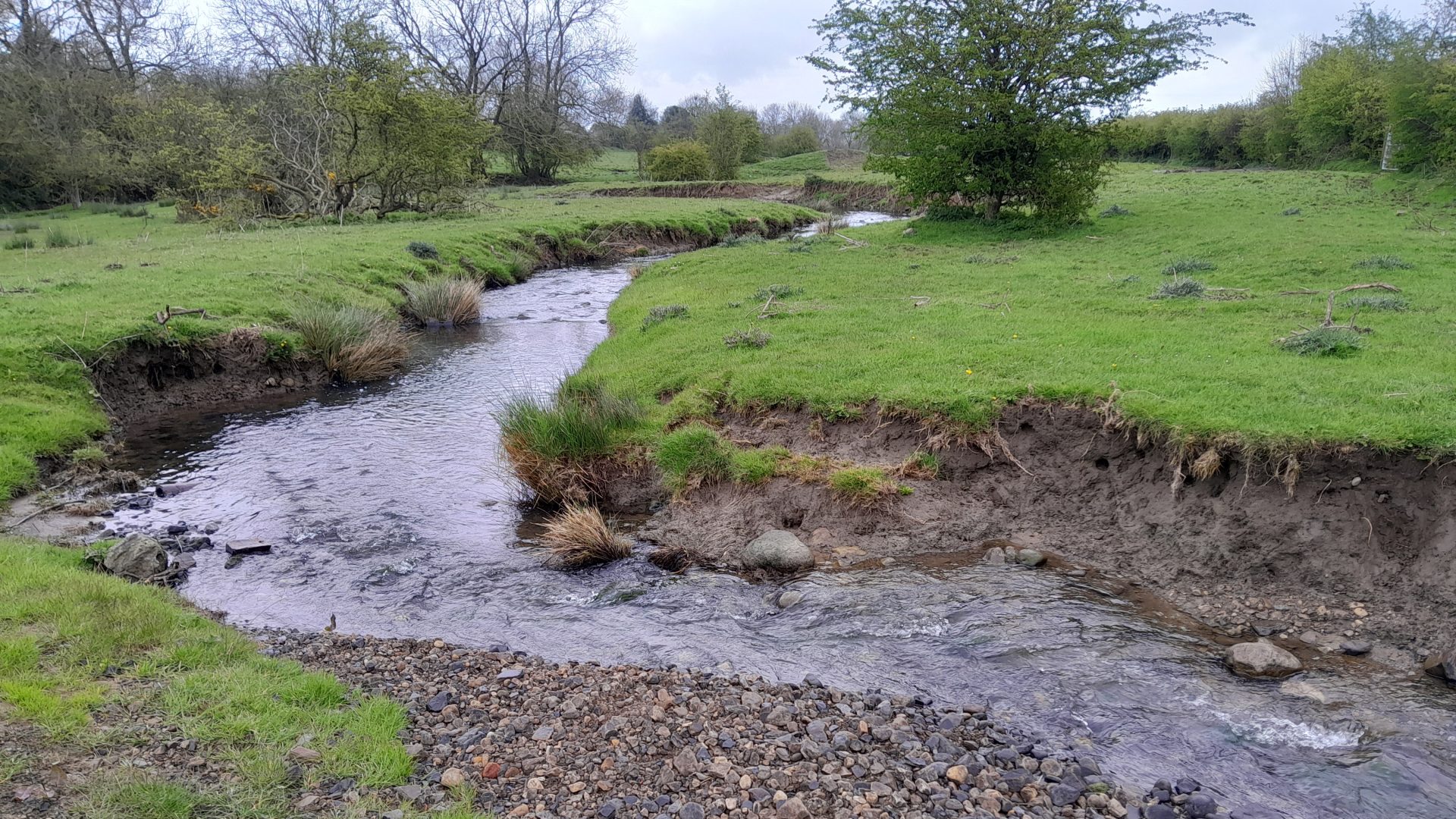 Hummer Beck - pic from Wear Rivers Trust