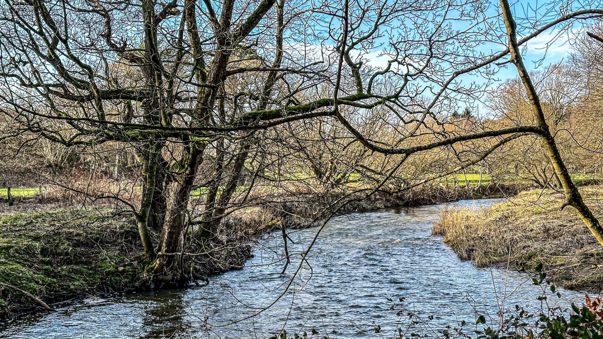 River Browney, Lanchester