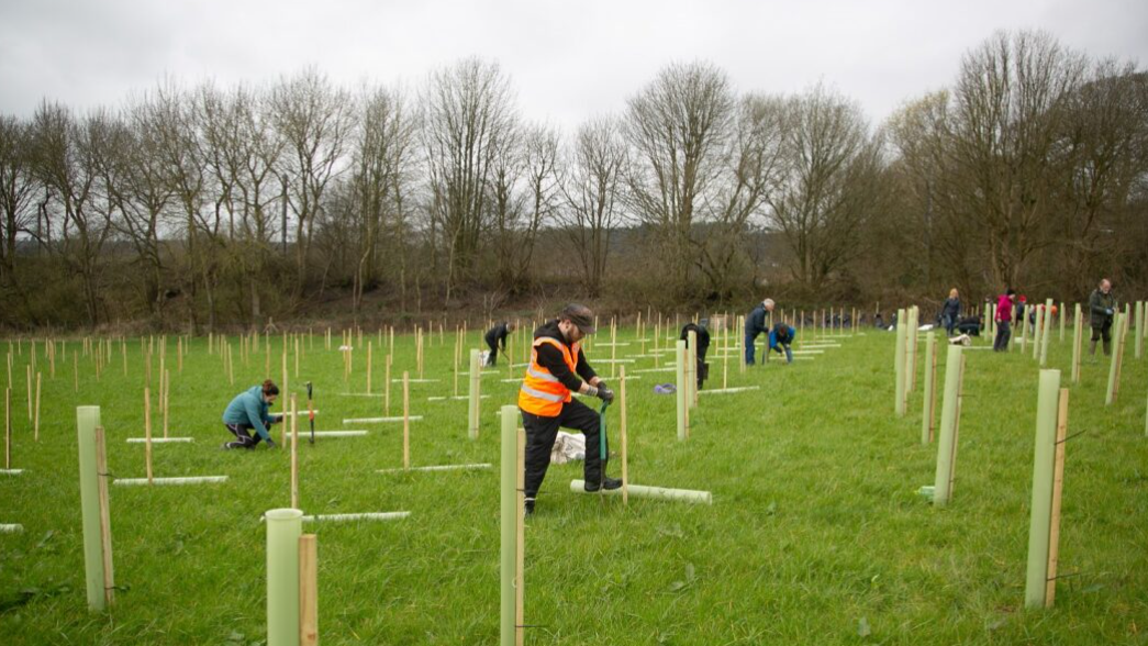 Tree planting near Bromsgrove 