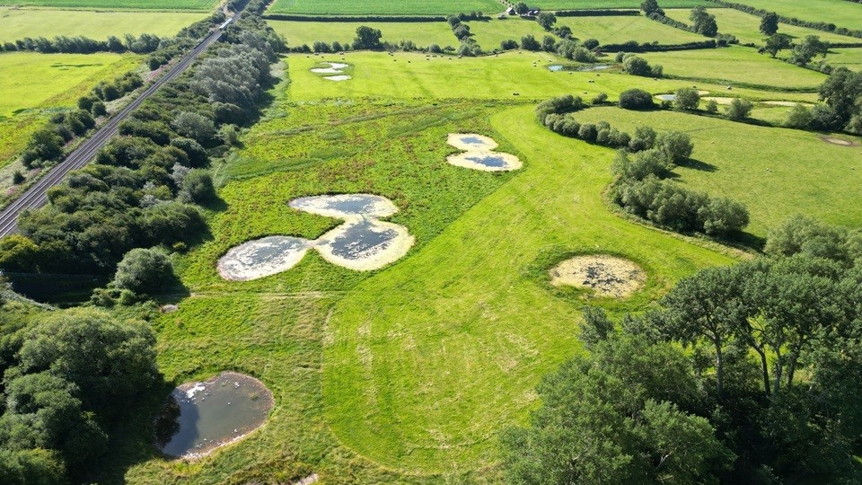 Chearsley Wetland