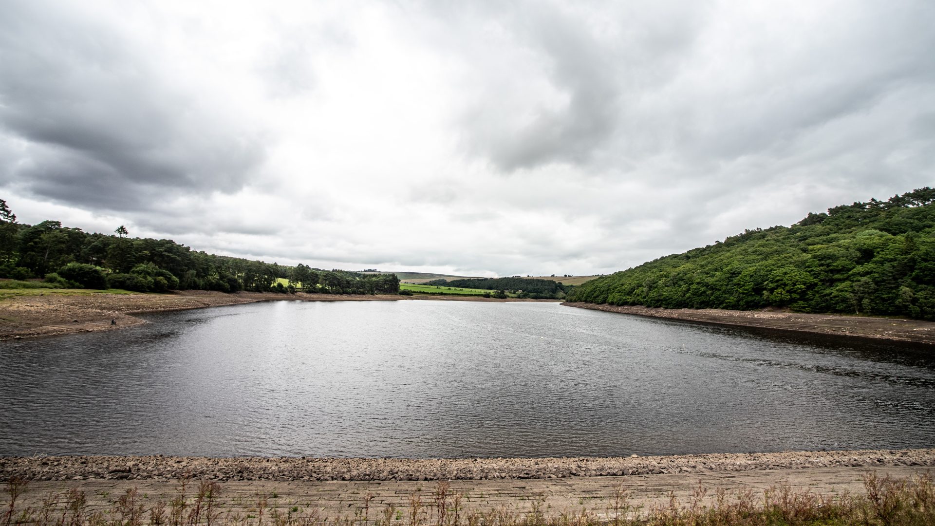 Tunstall Reservoir