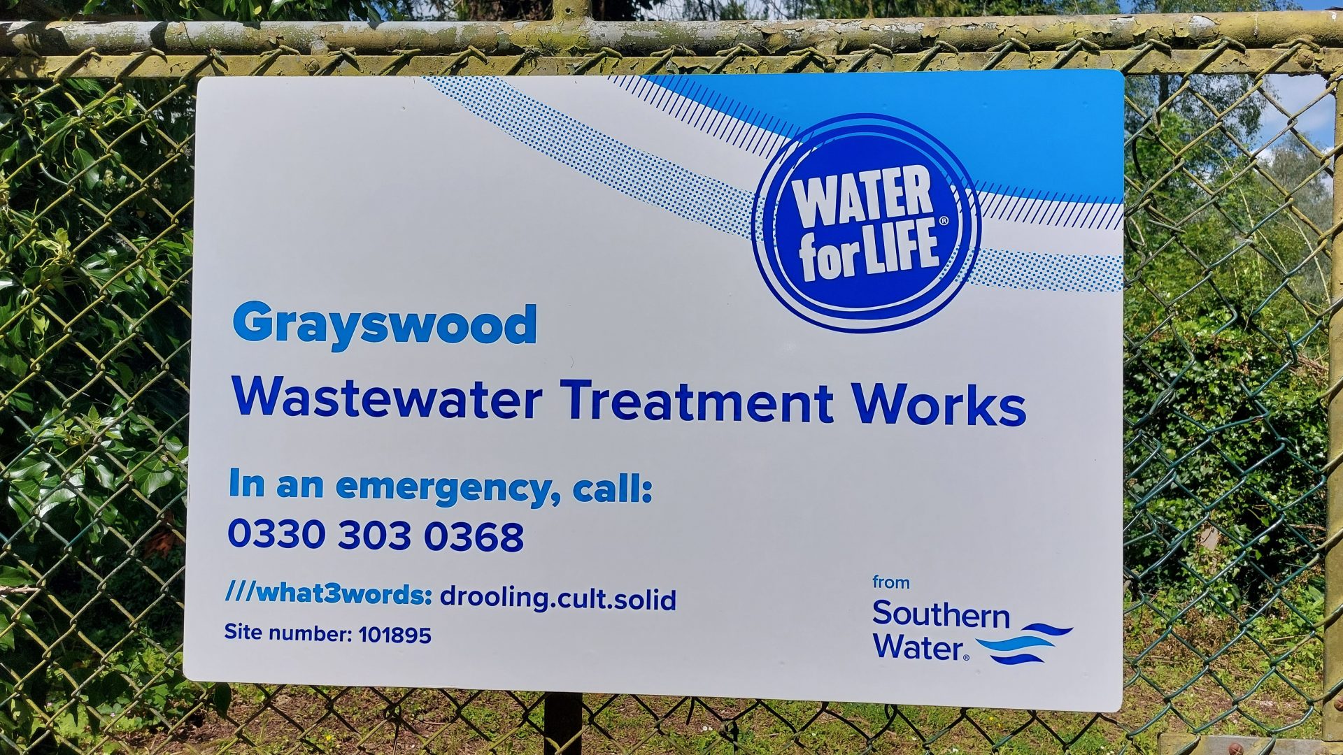 southern water grayswood