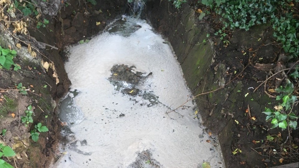 Worcestershire Brook Pollution