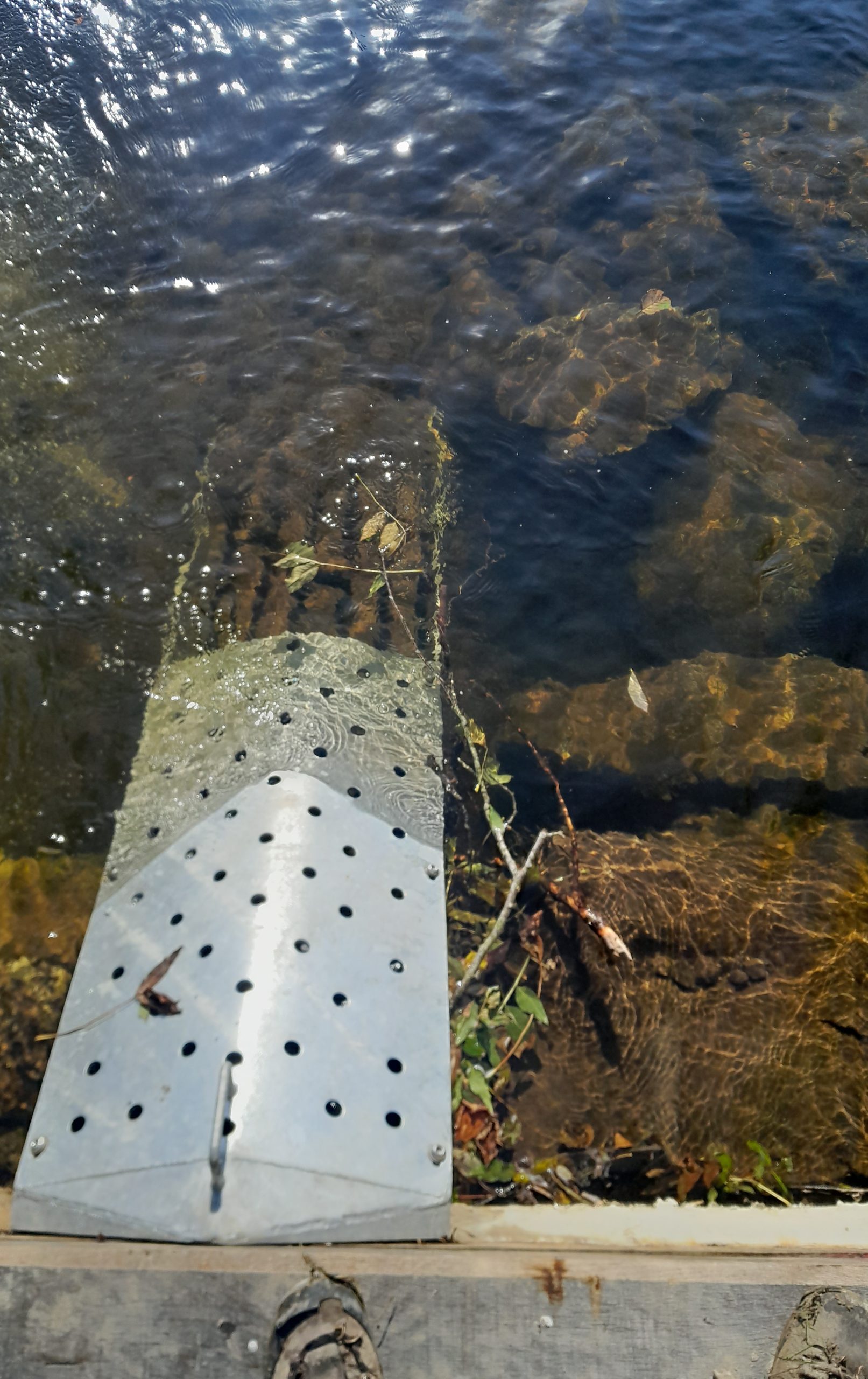 Ramp with studded tiles for eel and lamprey.