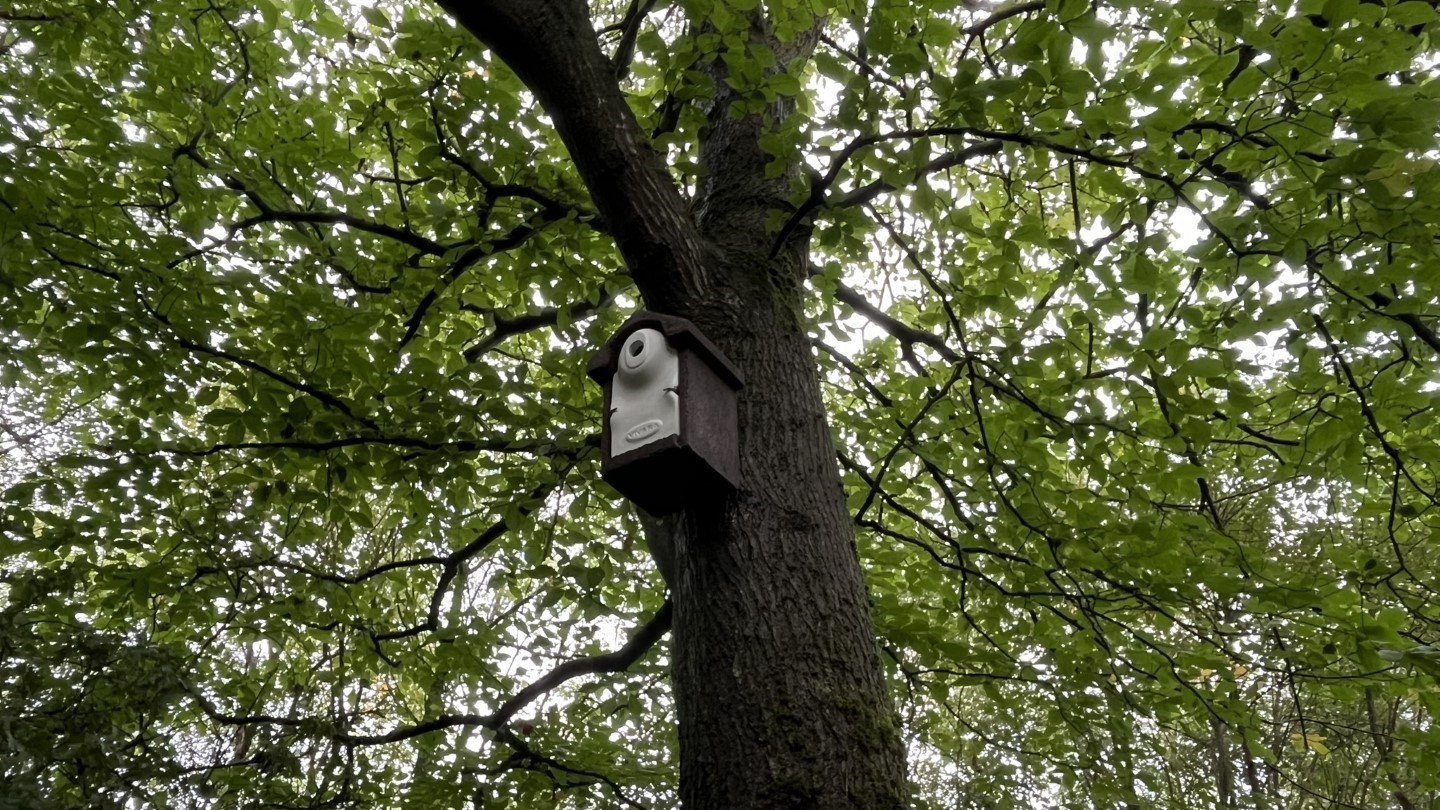 scottish water birdbox