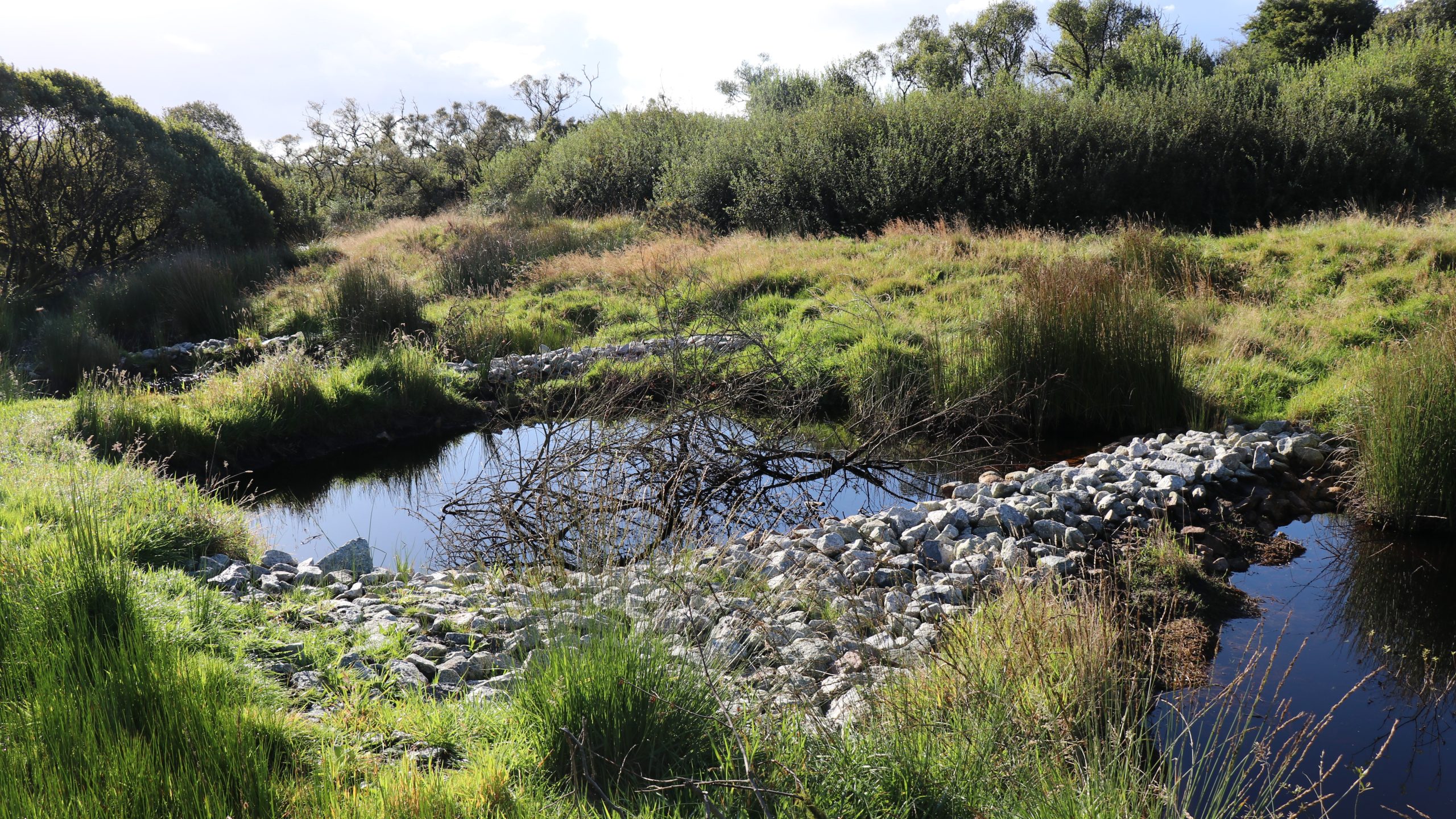 Peatland restoration 