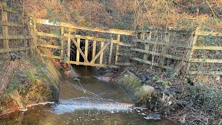 New Forest Fish Pass