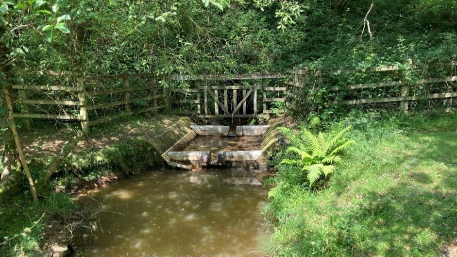 New Forest Fish Pass