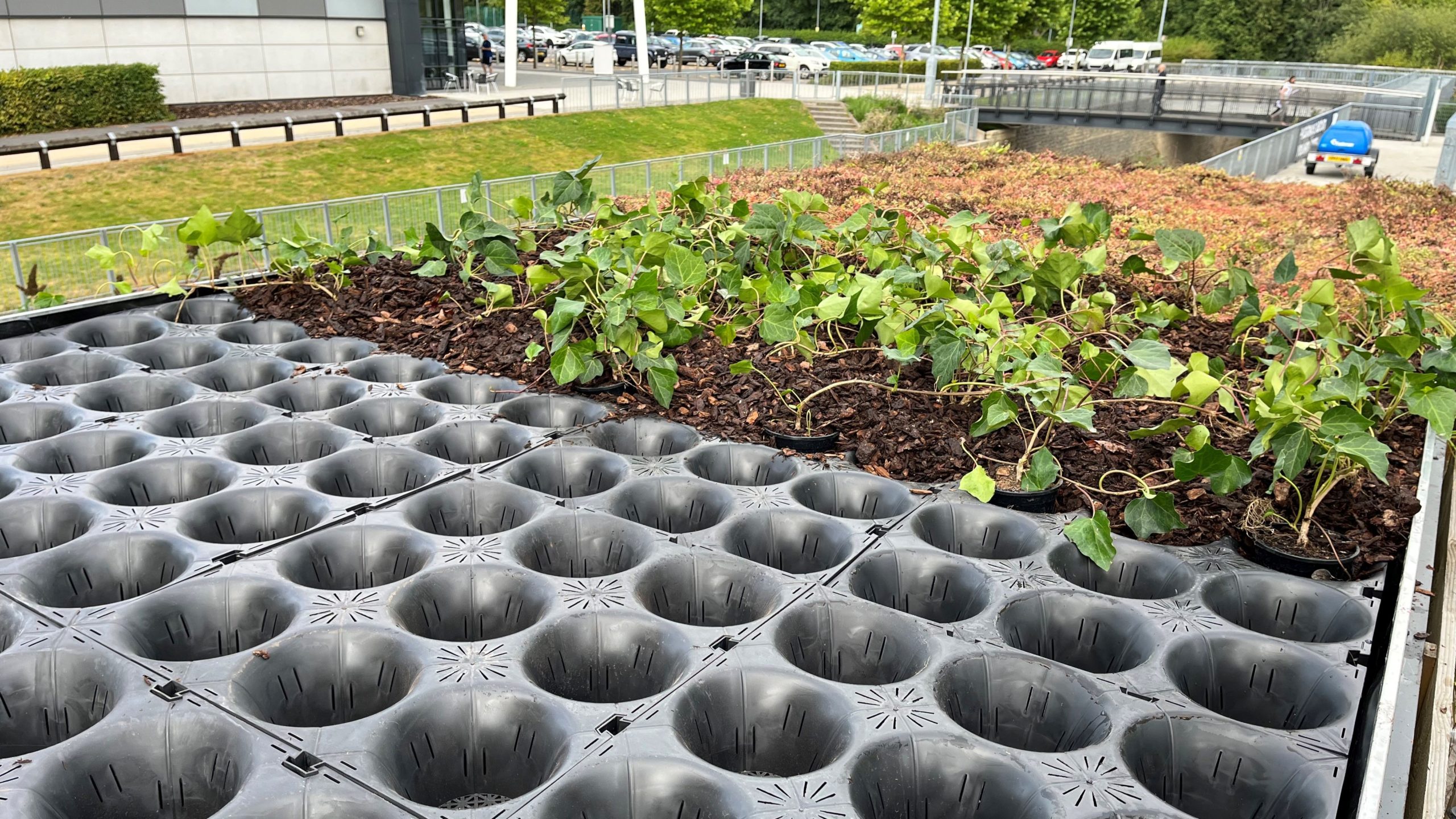 Water Products Formavoid Living Roof