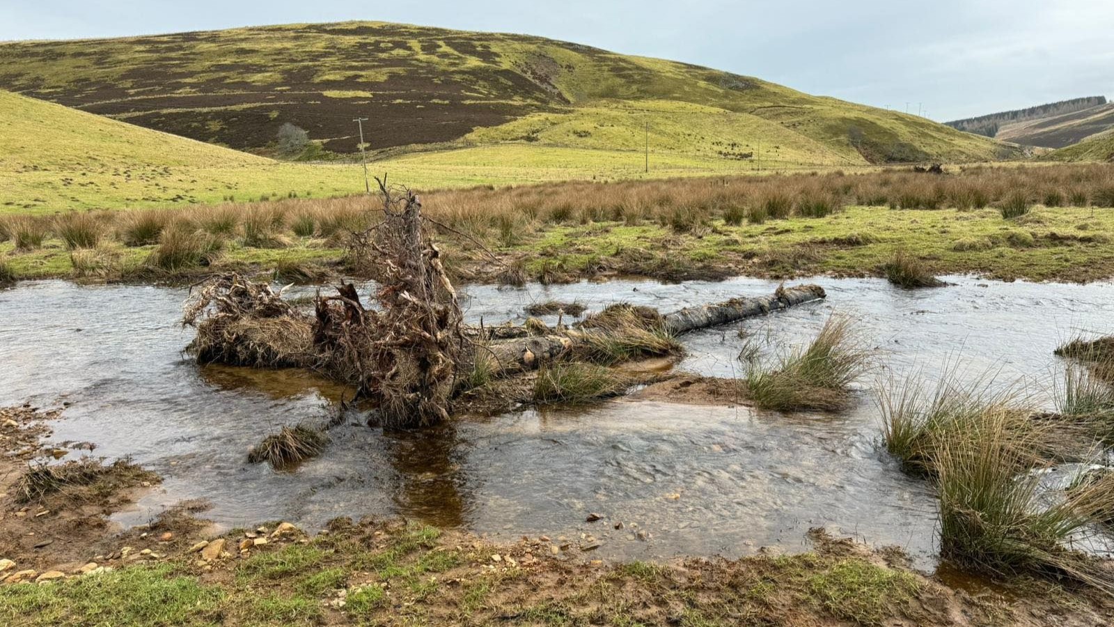 Quharity Burn