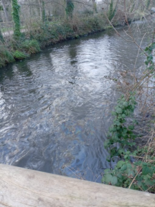 River Wandle