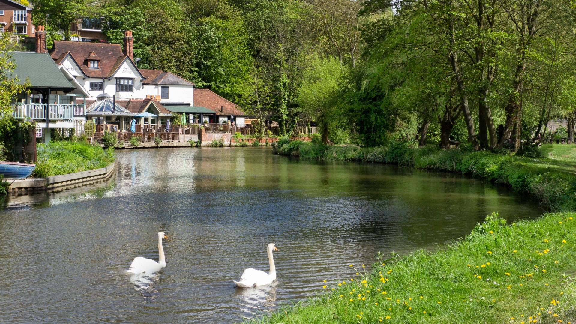 The River Wey , Guildford Surrey