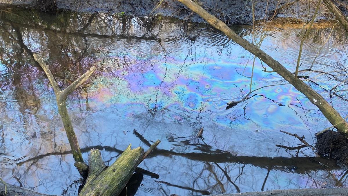 River Wandle