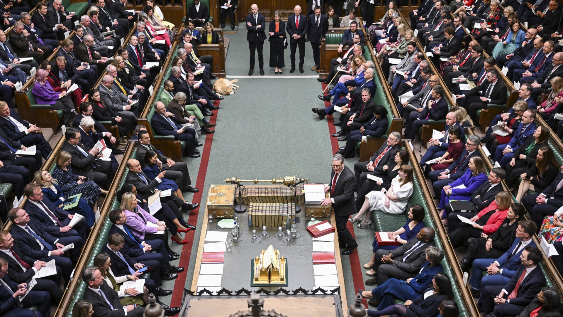 Prime Minister's Questions, 29 January 2025 - ©House of Commons